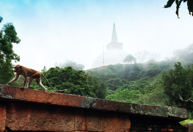 Iconic white Maha Seya Stupa atop Mihintale hill is a key pilgrimage site marking the birthplace of Buddhism in Sri Lanka.
