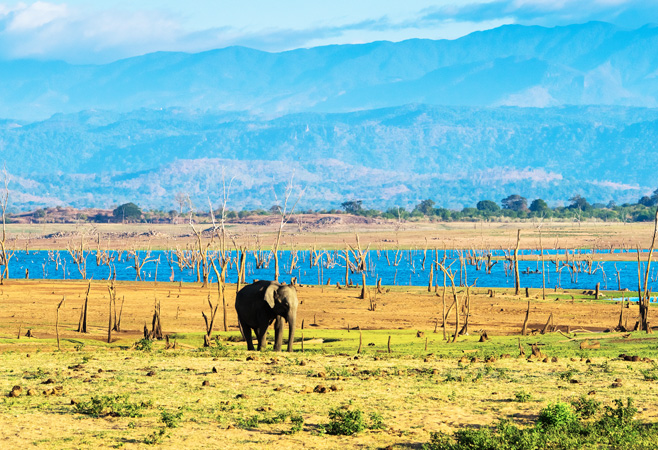 A panoramic view of the serene Udawalawe Reservoir, framed by lush greenery and distant peaks