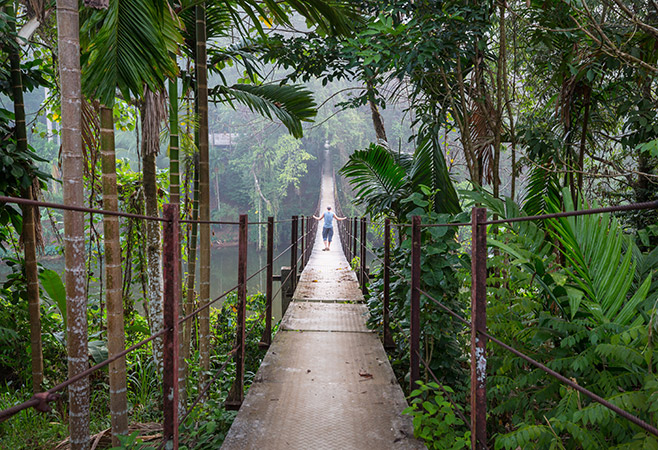 The pristine natural landscape offers you an authentic glimpse into a peaceful and unspoiled Sri Lanka.