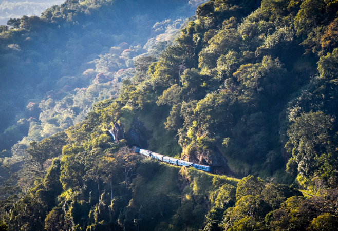 Morning mist rolling over Kandy’s hills