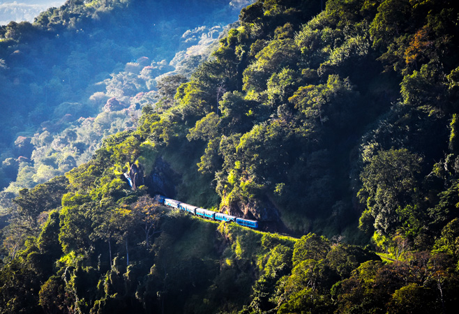 Sri Lanka's greenery hits different after just a few hours on the Colombo to Kandy train
