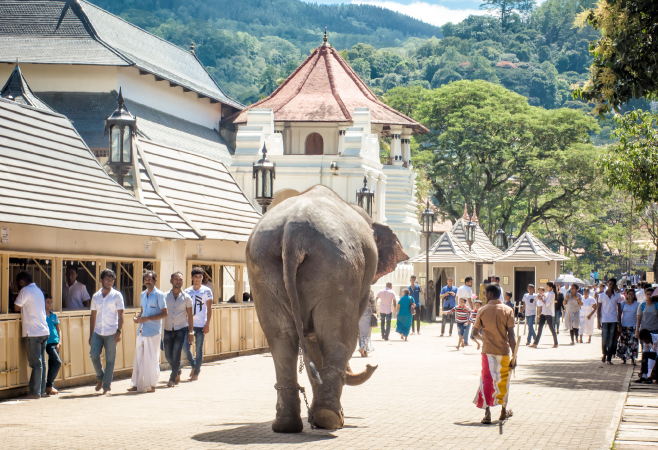 Pleasant daytime weather in Kandy, ideal for temple visits and walking tours