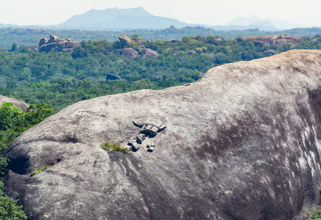 A view of Kumana National Park
