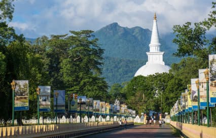 Mahiyanganaya Temple Travel Guide: History, Location & Tips