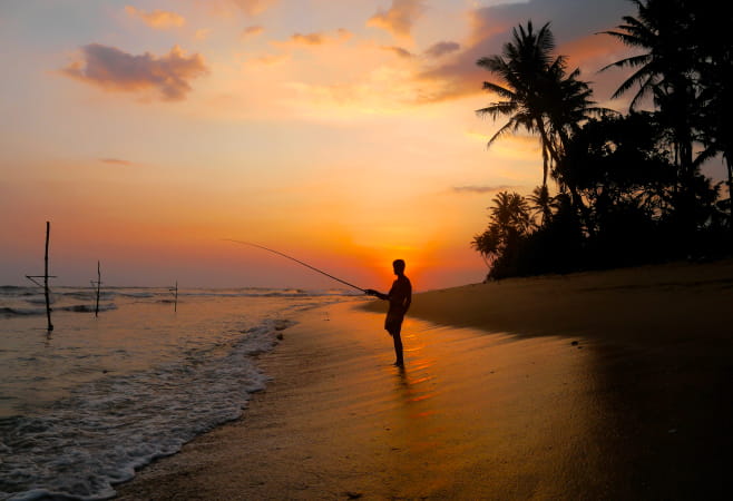 Peace sunset in Thalpe beach