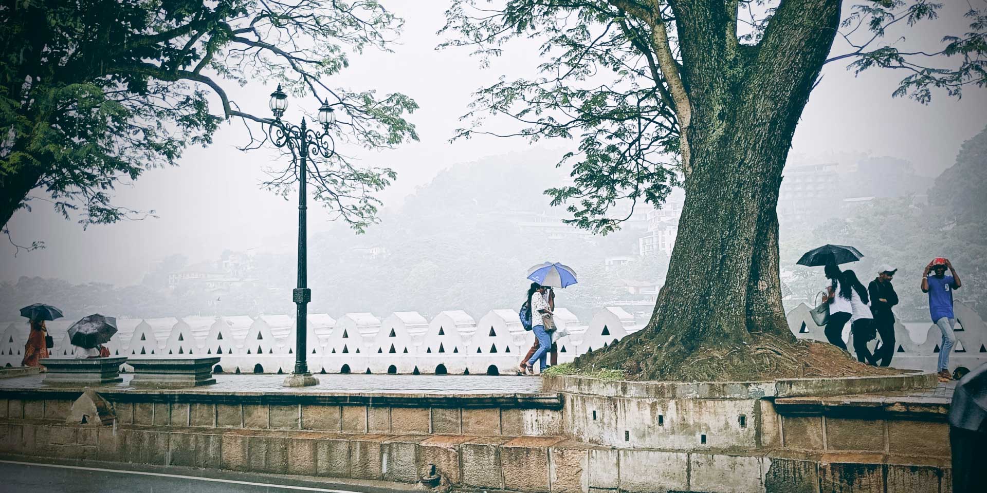Kandy Climate Kandy Weather Guide: Best Time to Visit, Seasonal Travel Guide
