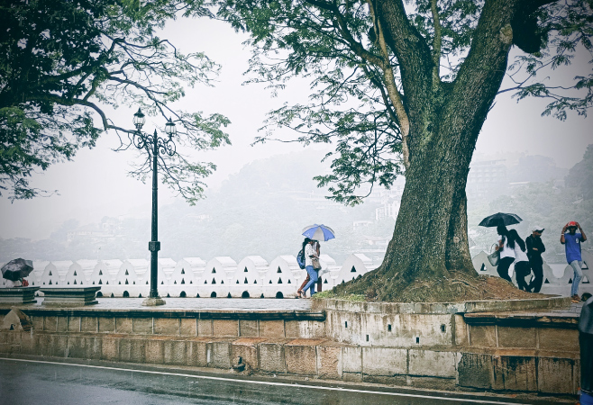 Light monsoon rain of Kandy