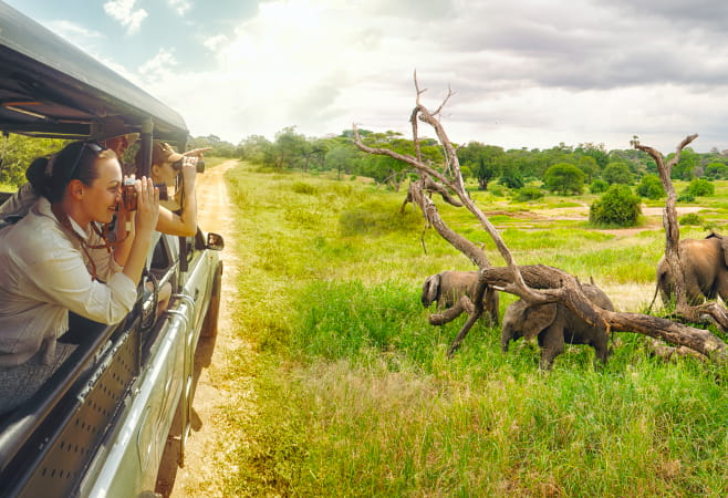 Safari tour in a National Park in Sri Lanka