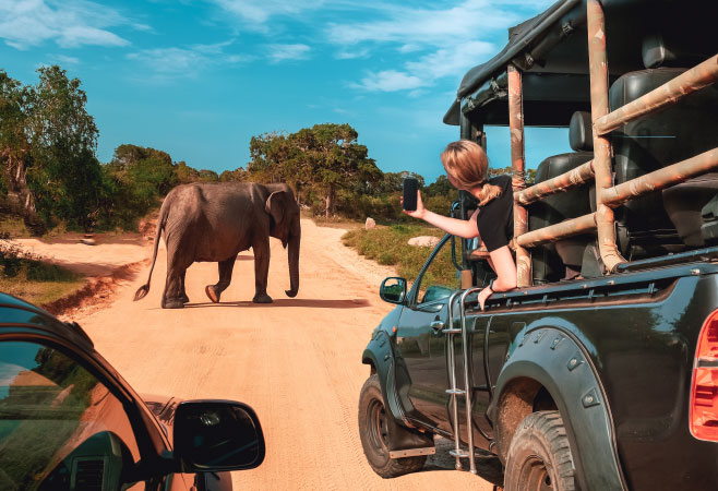 A Sri Lanka wildlife tour