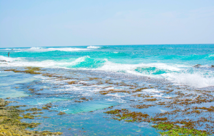 Thalpe Beach Guide: Location, Best Things to Do & Travel Tips