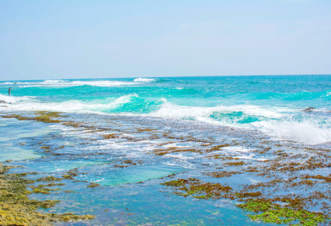 Thalpe Beach is a peaceful coastal escape near Galle