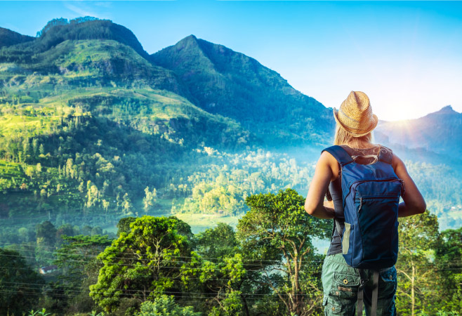 A tropical landscape in Sri Lanka, offering lush greenery just a short distance from the Maldives