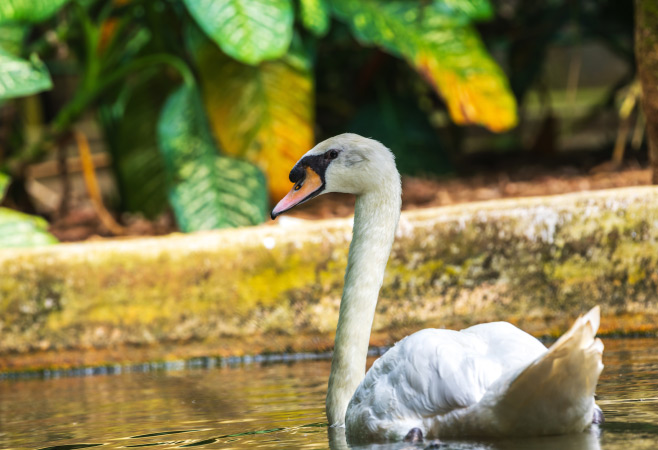 Dehiwala Zoo offers photo-worthy experiences for all ages